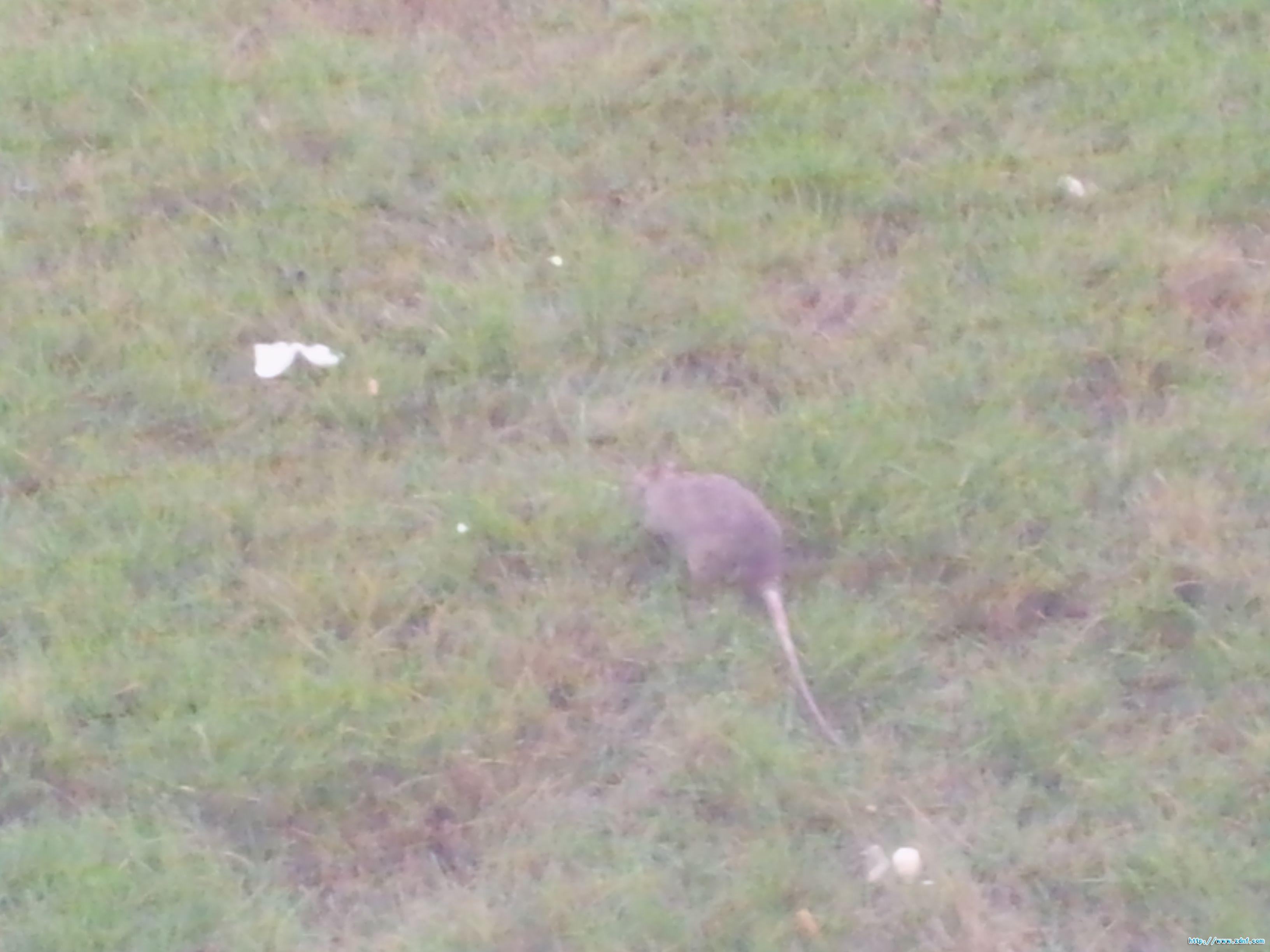 20111109_171109.jpg