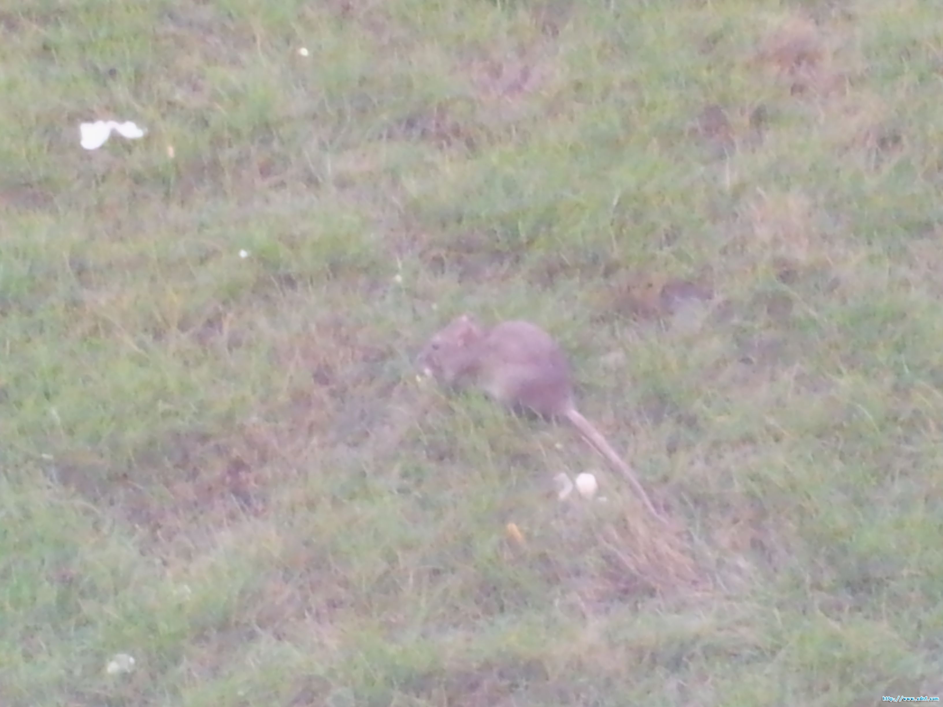 20111109_171038.jpg