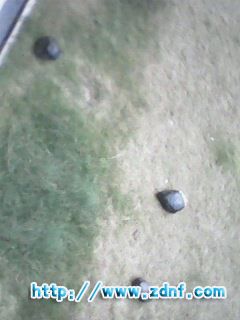 IMG0192A.jpg