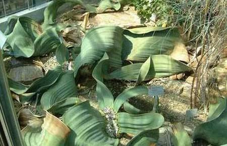 013.jpg