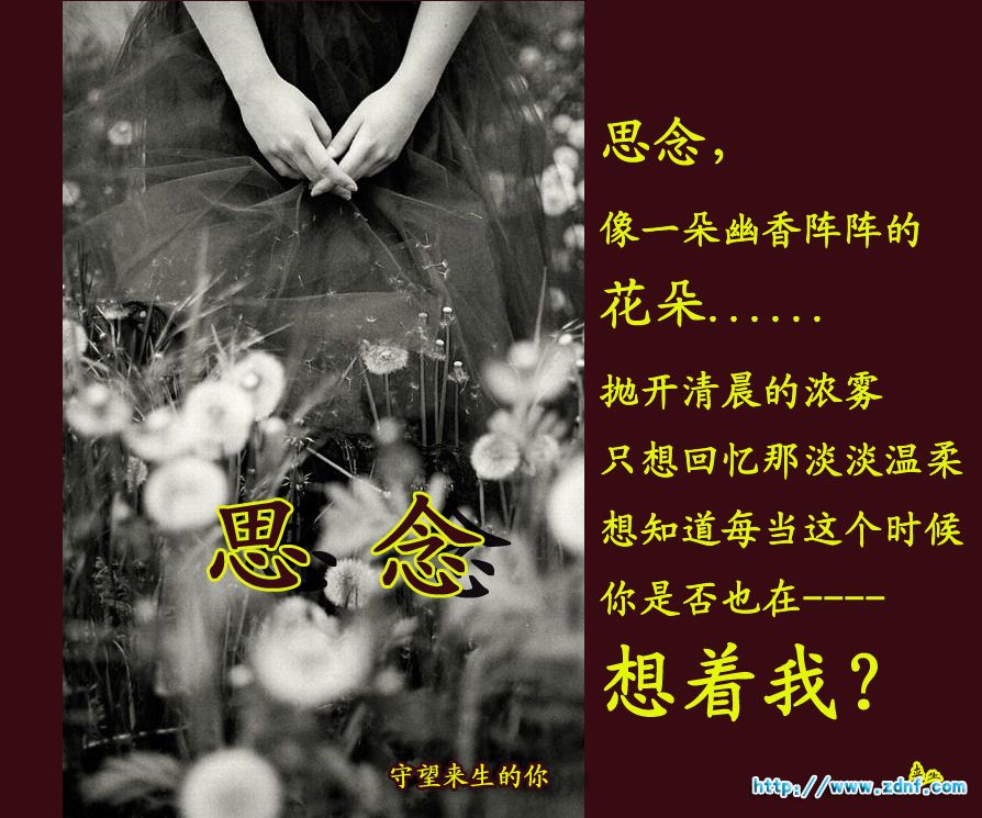 b98c31fd5e916a28024f5636.jpg