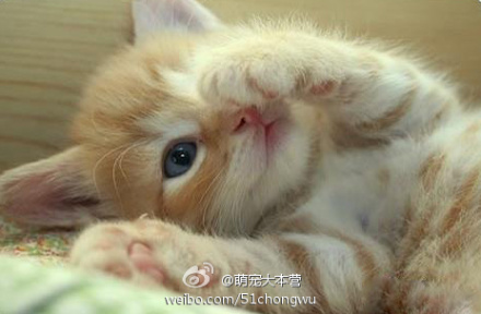 6927f719jw1djou2sw594j.jpg