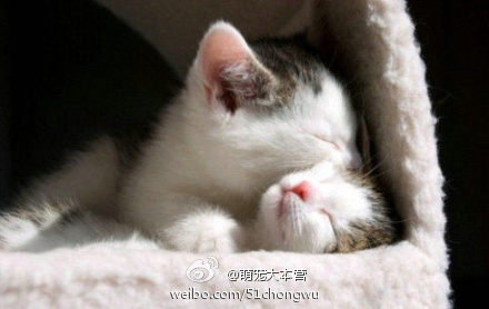 6927f719jw1djp90qb4wej.jpg