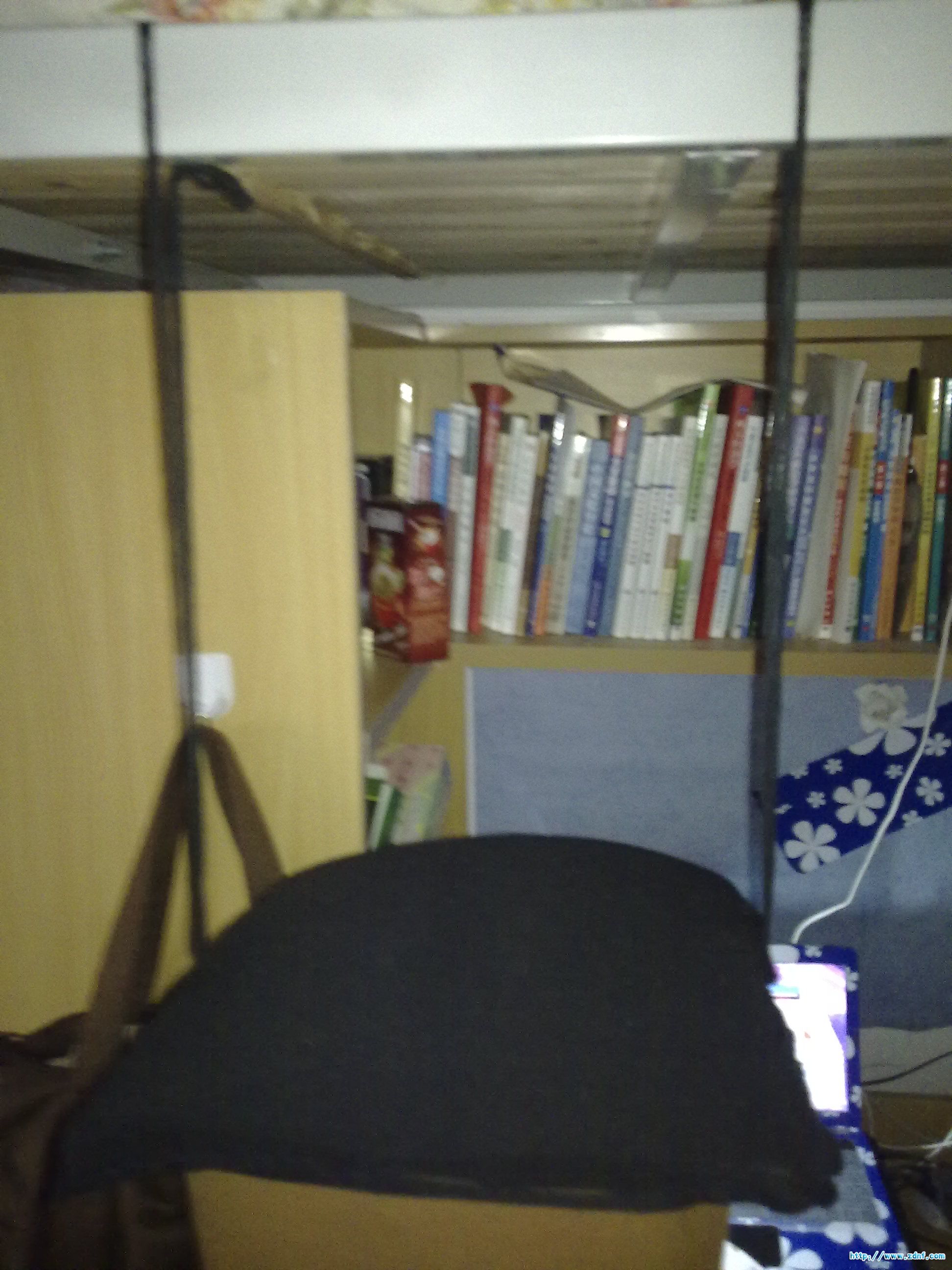 201202271930.jpg