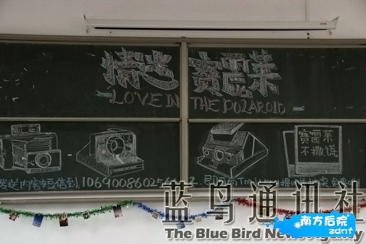 3099320968578542771.jpg