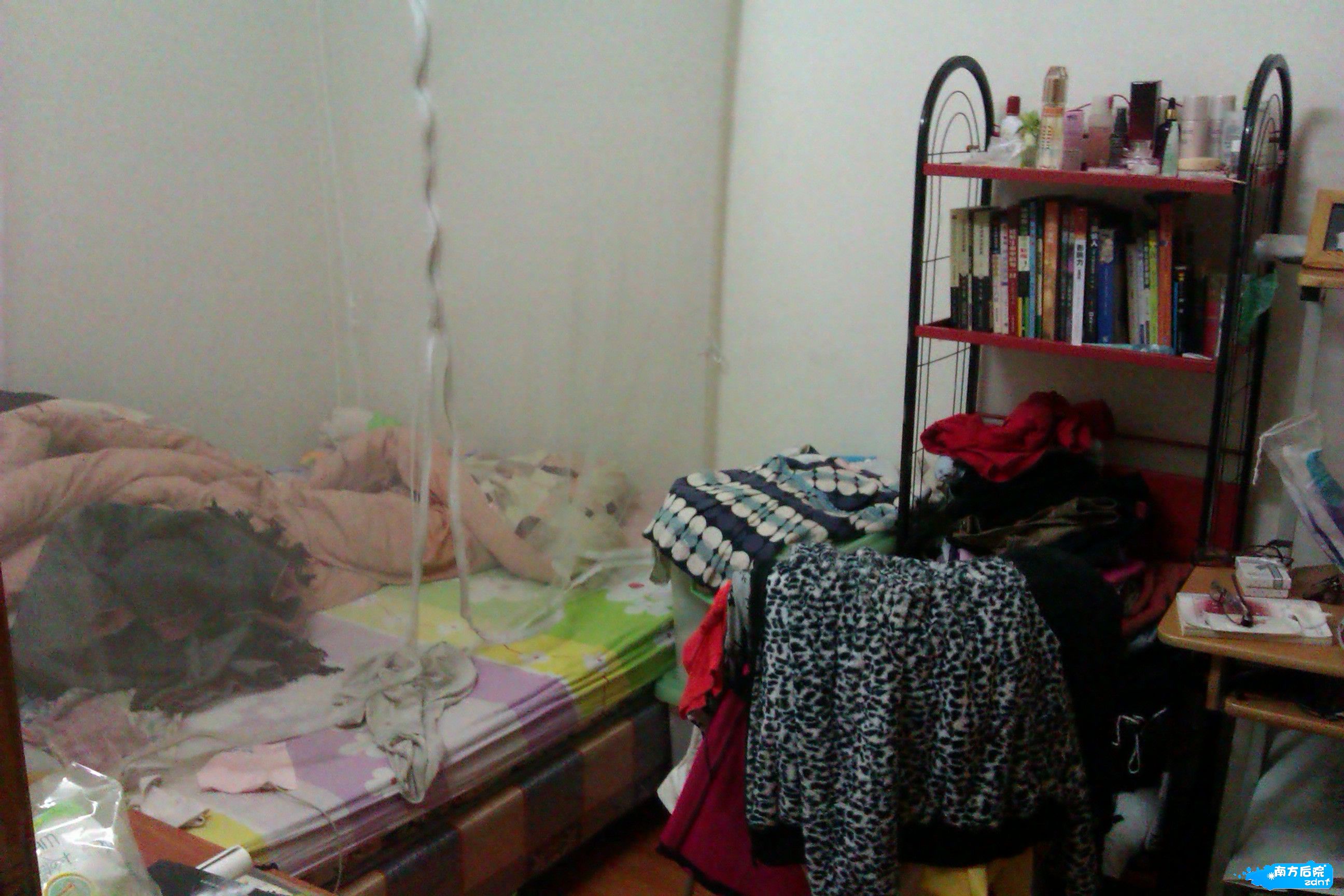 IMAG0346.jpg