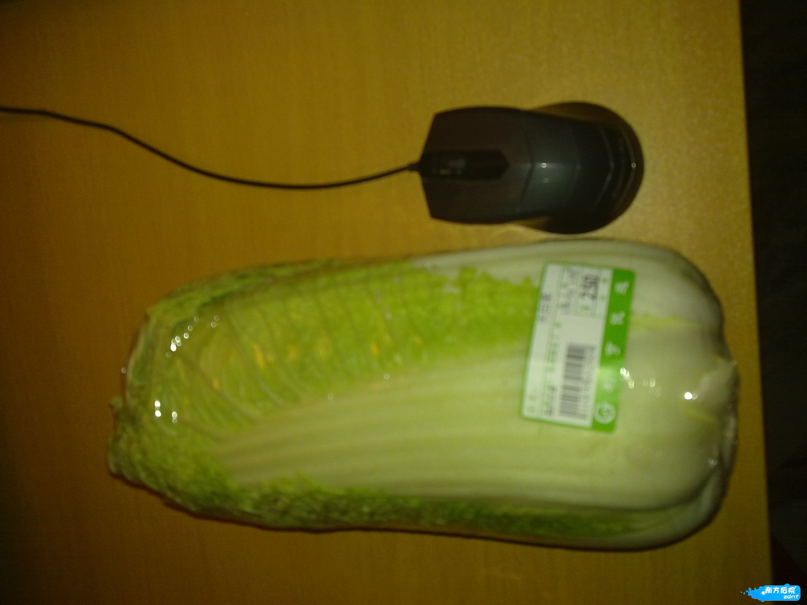 20121205326.jpg