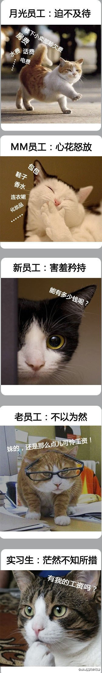 当HR通知去领工资时.jpg