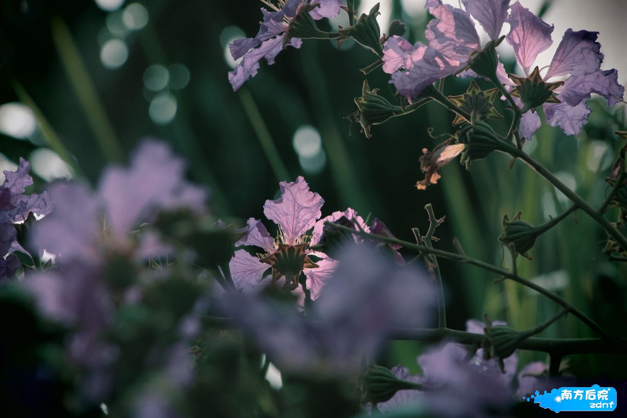 照片 054_HZP.jpg