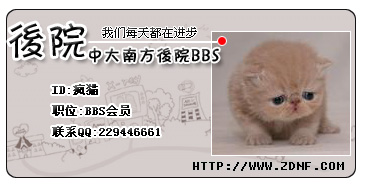 猫 .jpg