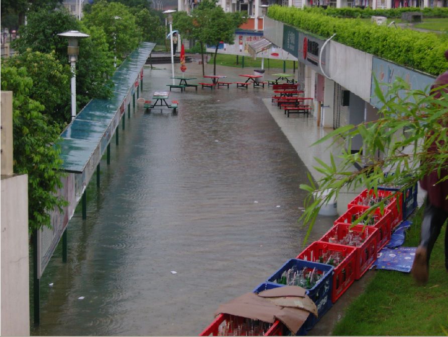 各个感.jpg