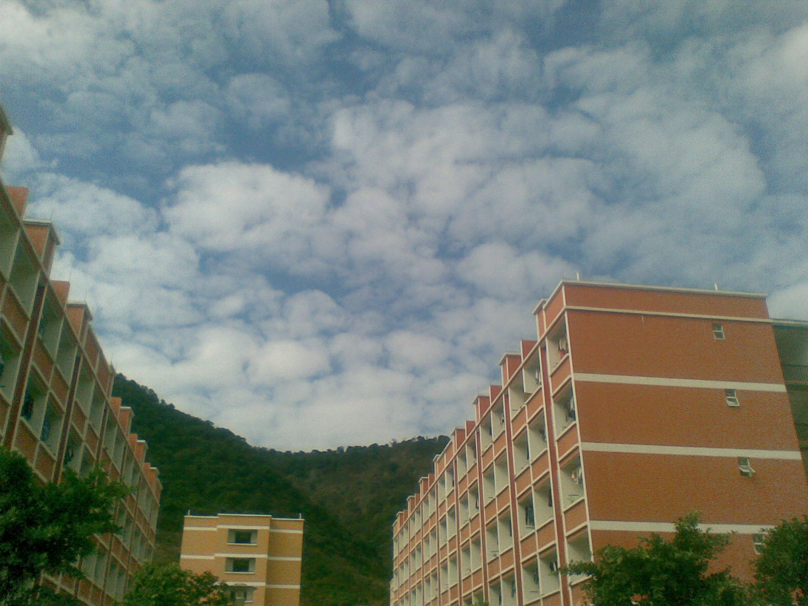 图像015.jpg