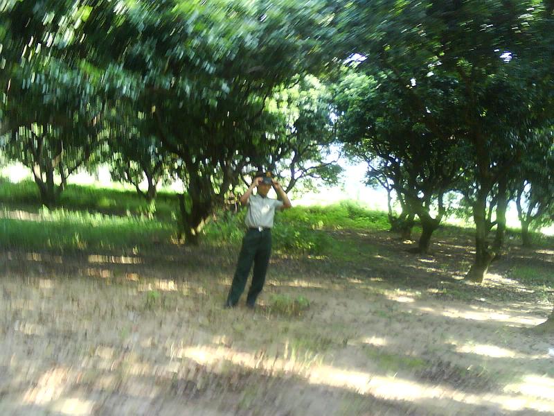 DSC00028.jpg