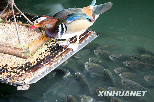 20081022_b027647f14b03280c8b16jILUW6dLLzV.jpg