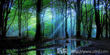 未标题-5.jpg