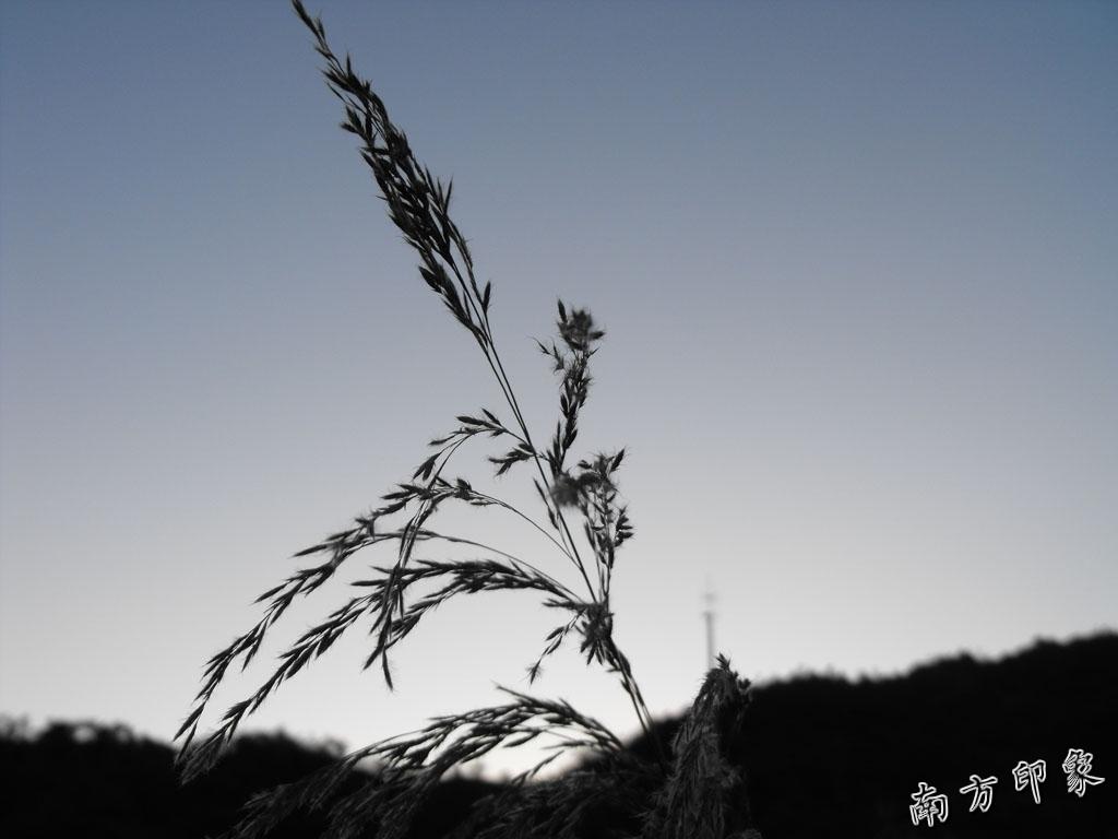 DSCF4848.jpg