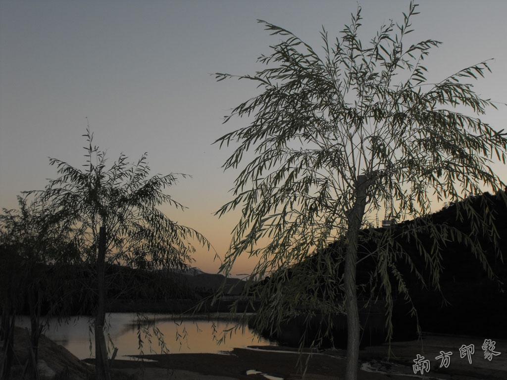 DSCF4902.jpg