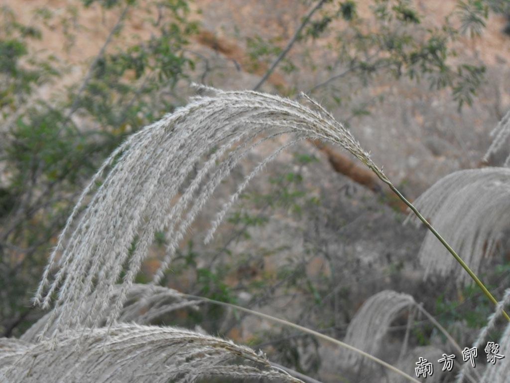 DSCF4873.jpg