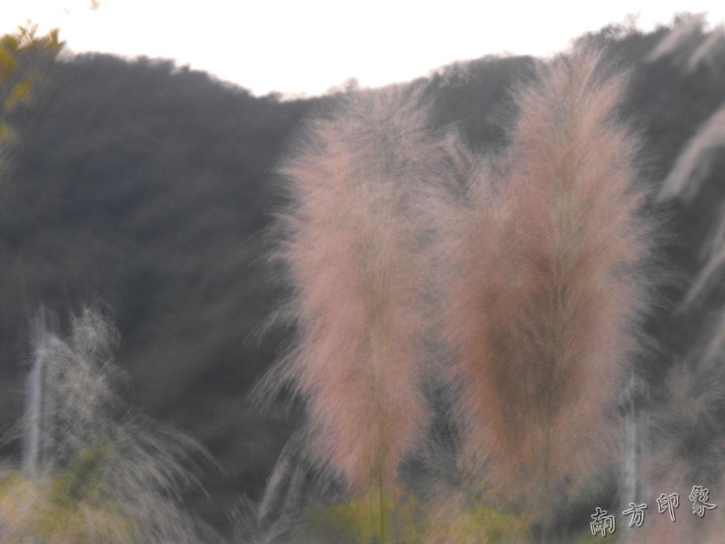 DSCF4938.jpg