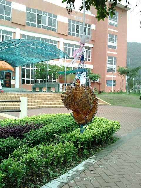 IMG1538A.jpg