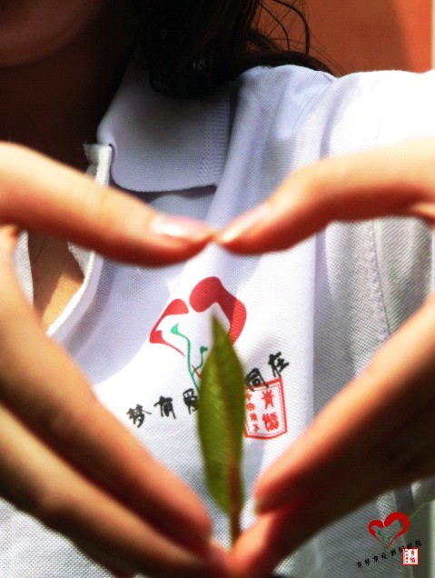 11111.jpg