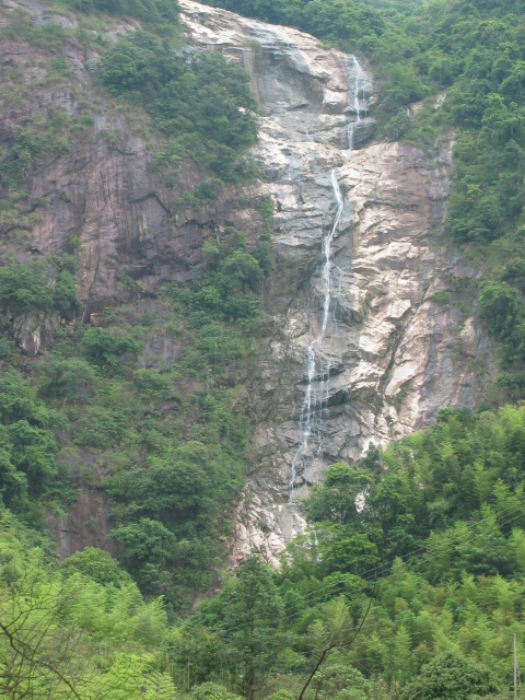 IMG_3833.jpg