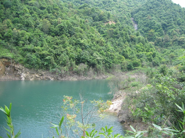 IMG_3890.jpg