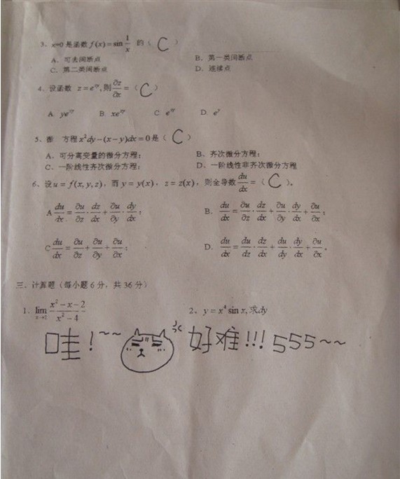 01.jpg