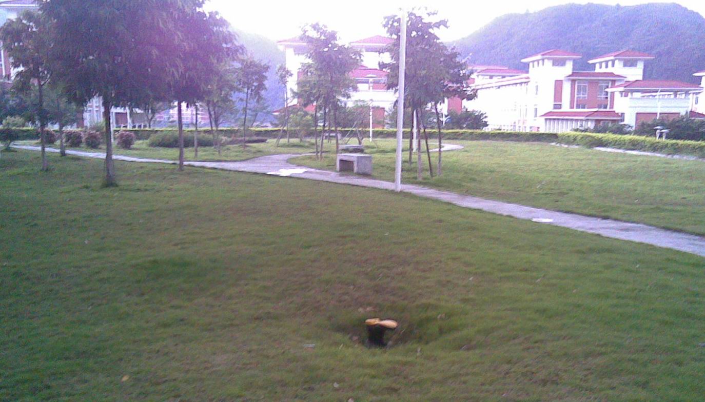 20090629(001).jpg