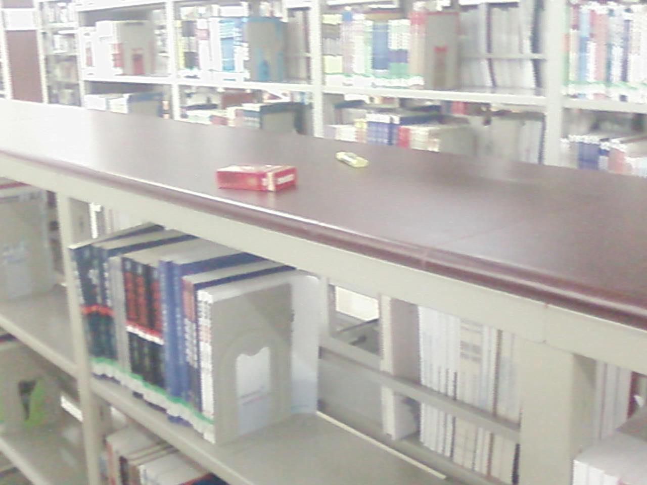 SP_A0399.jpg