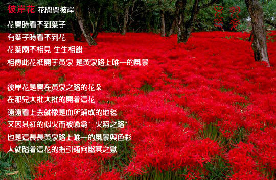 122_922579_1afaf26ddbad274.jpg
