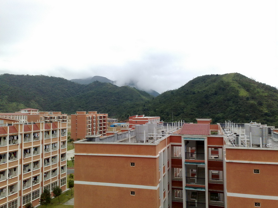 200811041184.jpg