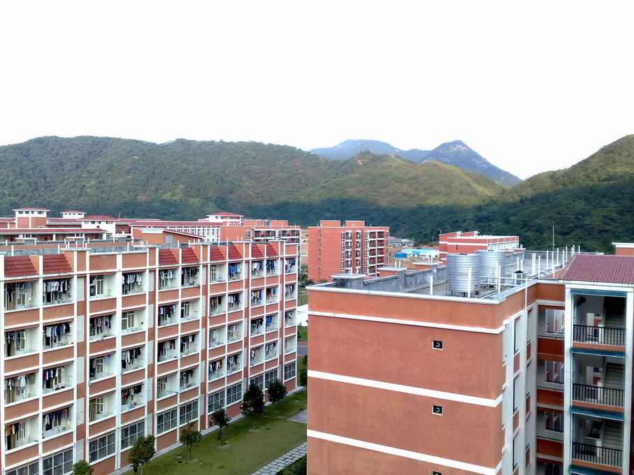 200811081191.jpg