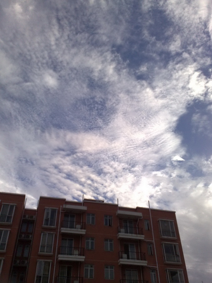 200811031178.jpg