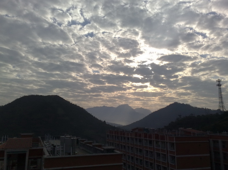 200811151196.jpg