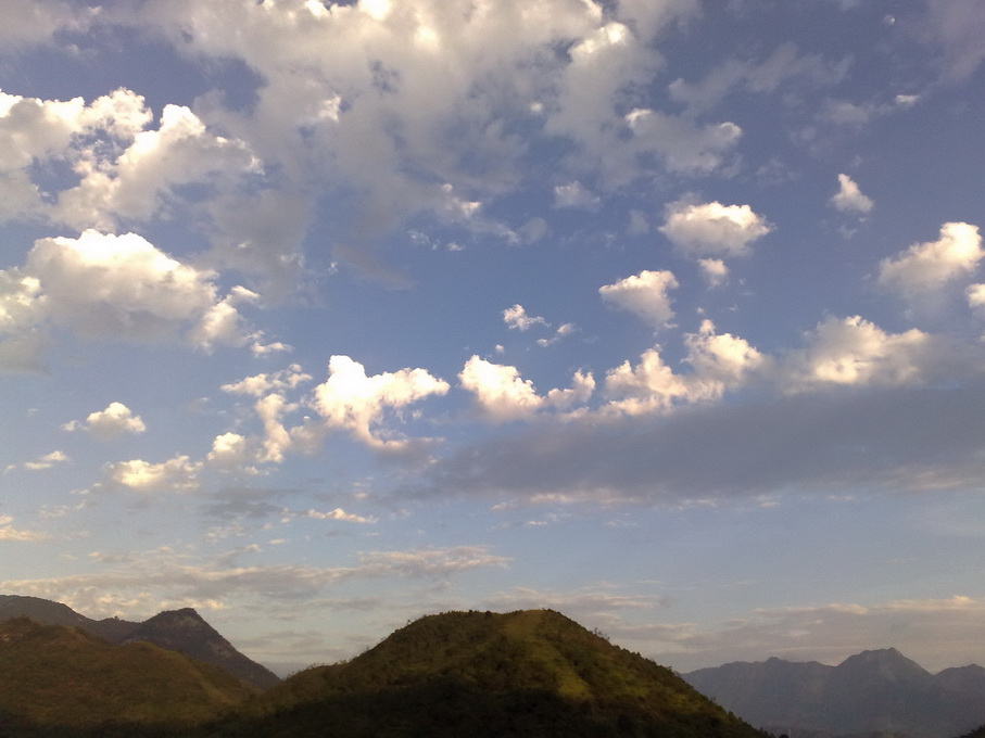 200811081190.jpg