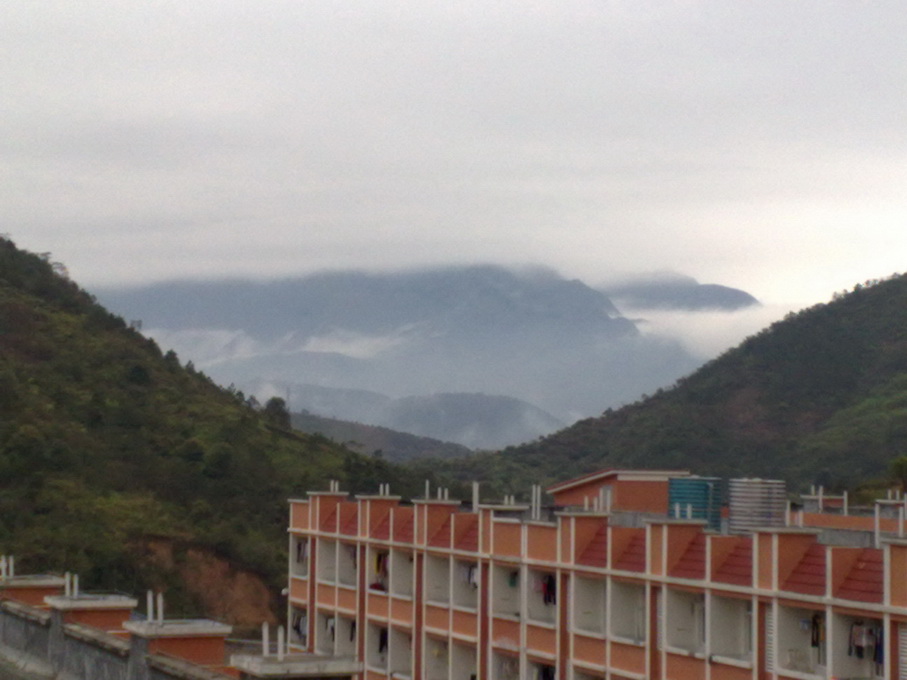 200903081591.jpg