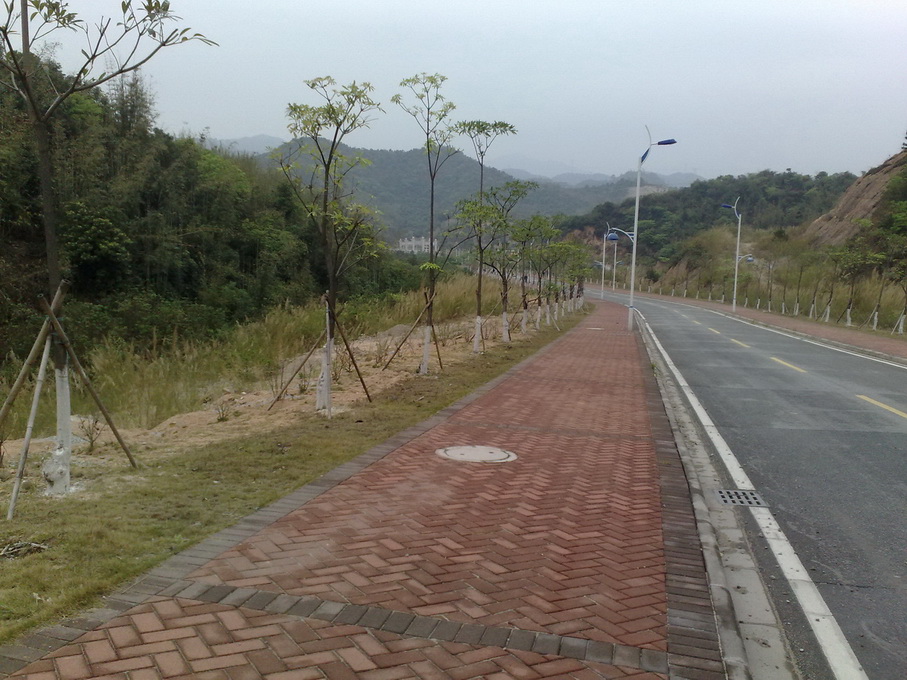 200902281537.jpg