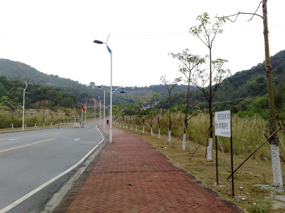 200902281545.jpg