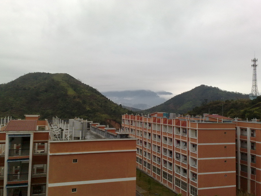 200903081592.jpg
