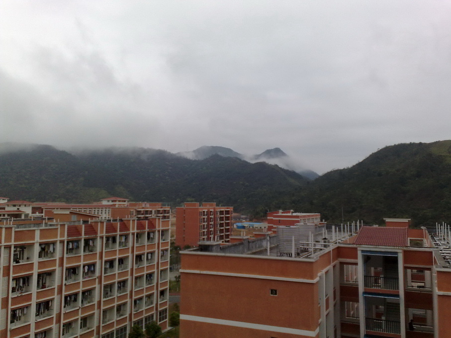 200903081593.jpg
