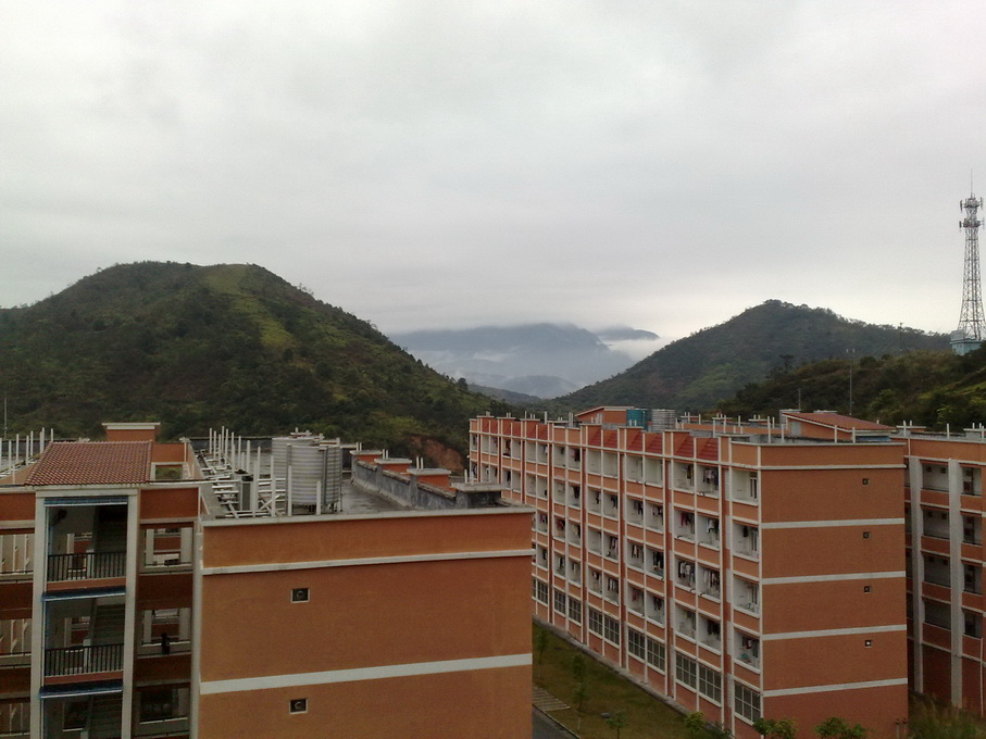200903081594.jpg