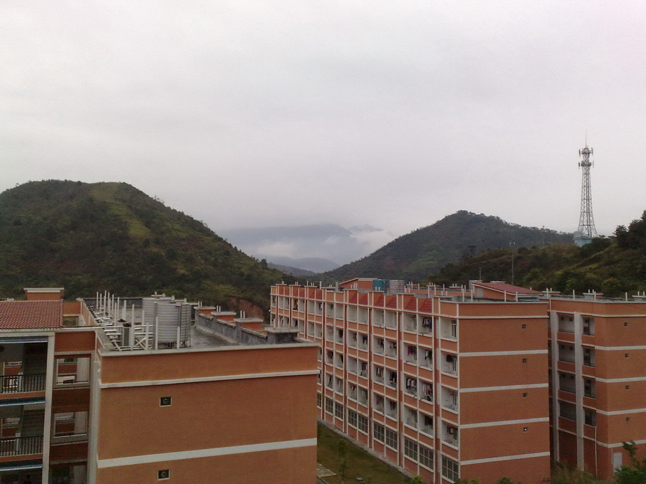 200903081597.jpg