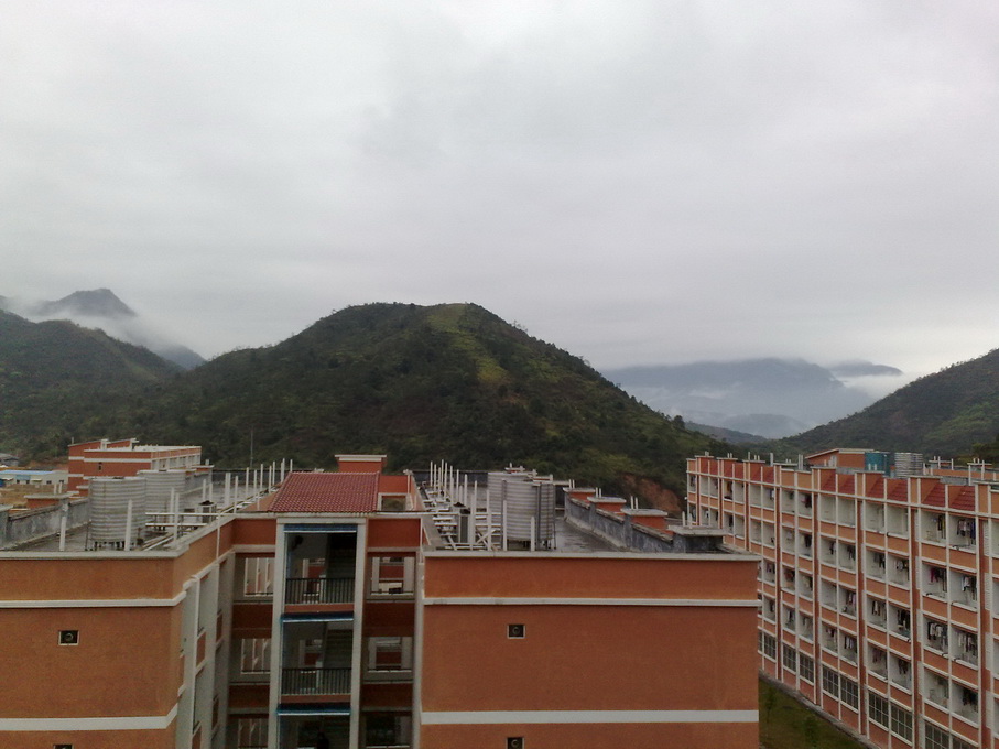 200903081595.jpg