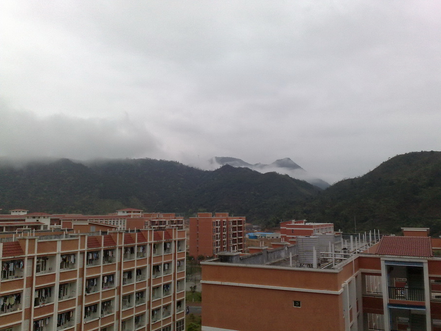 200903081596.jpg