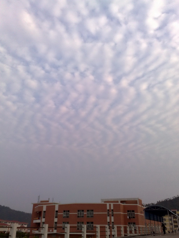200903251841.jpg