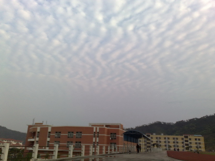 200903251842.jpg