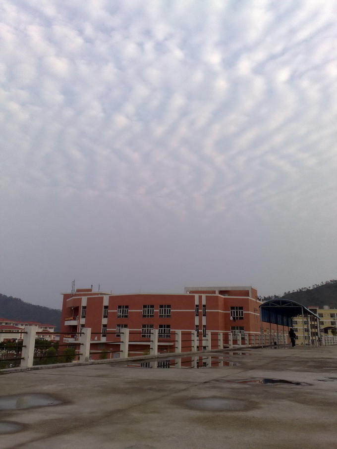 200903251840.jpg