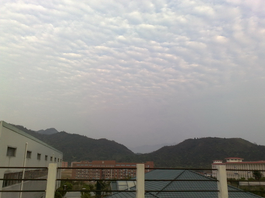 200903251843.jpg