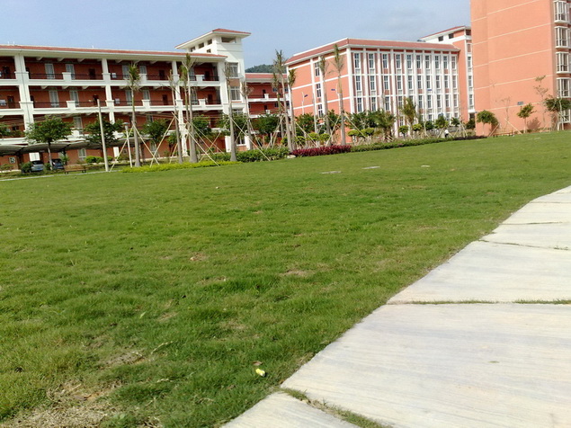 200903291867.jpg